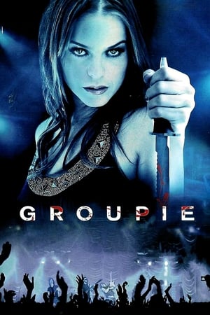 Groupie (2010) Hindi Dual Audio [1.1GB]