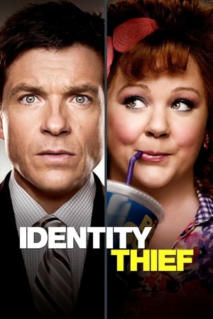 Identity Thief (2013) Hindi Dual Audio 350MB