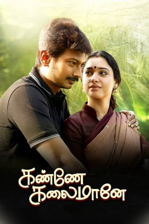 Kanne Kalaimaane 2019 (Hindi -Tamil) Dual Audio [1GB]