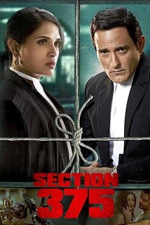 Section 375 (2019) Hindi Movie [980MB]