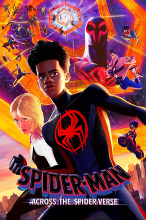 Spider-Man: Across the Spider-Verse 2023 Hindi (ORG)