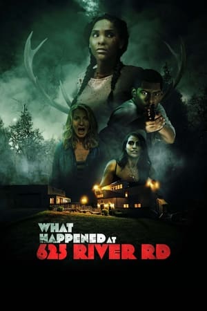What Happened at 625 River Road (2024) Hindi (MULTI AUDIO) 1080p